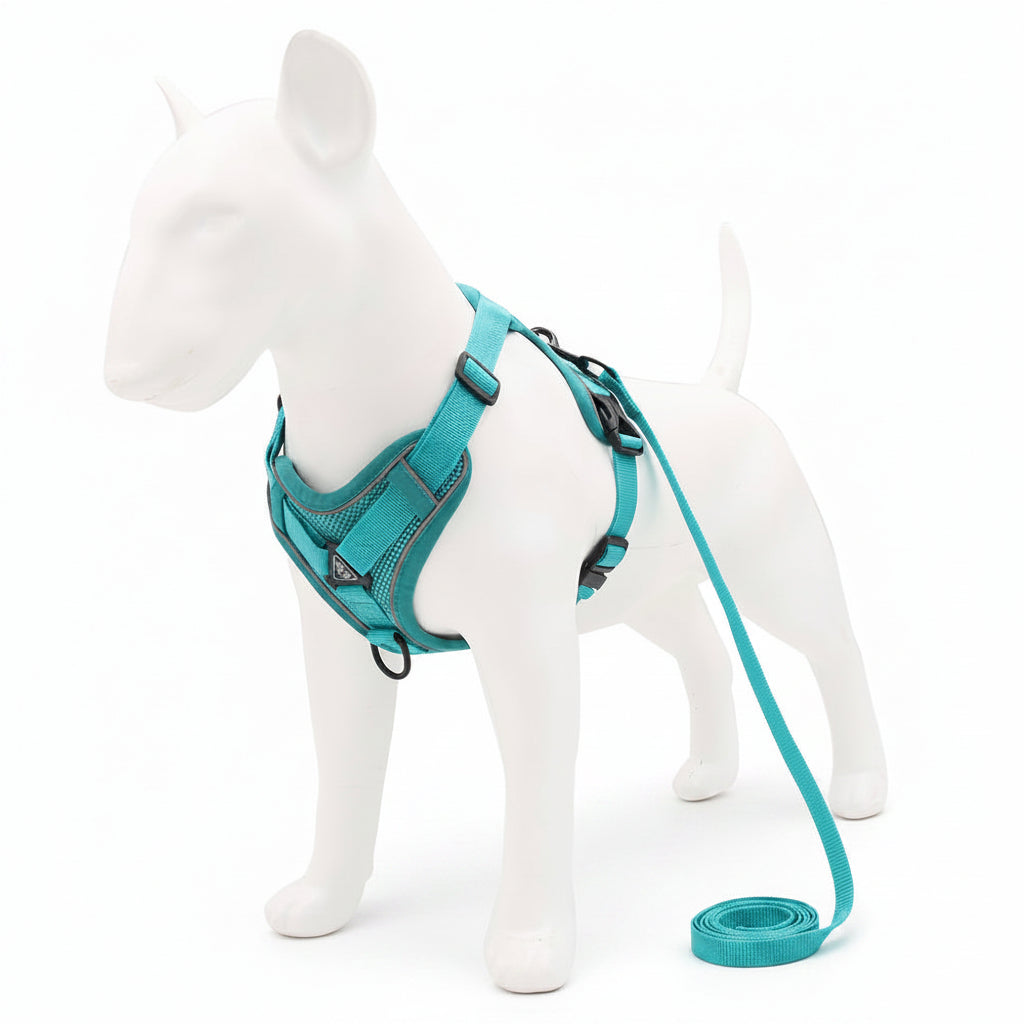 Teal dog harness and leash set on a white mannequin with an inset showing the product on a gray background.
