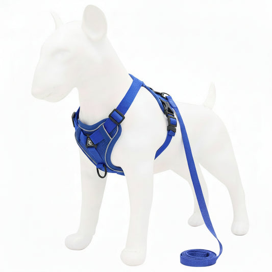 Blue dog harness and leash set on a white mannequin