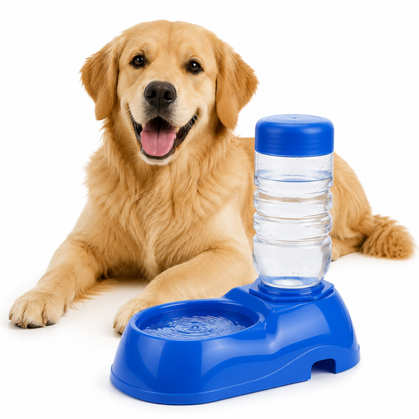 Feeding & Hydration