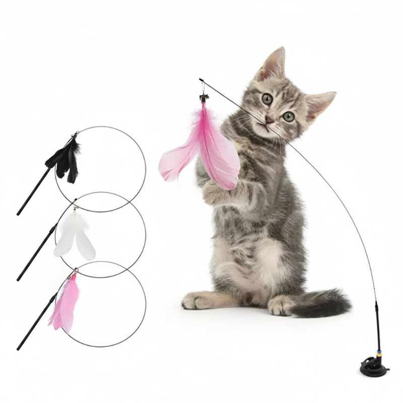 Cat playing with a feathered toy on a white background