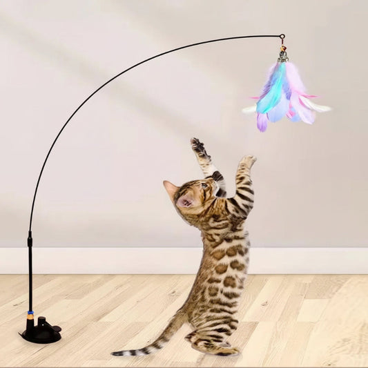 Cat playing with a colorful feather toy on a stand