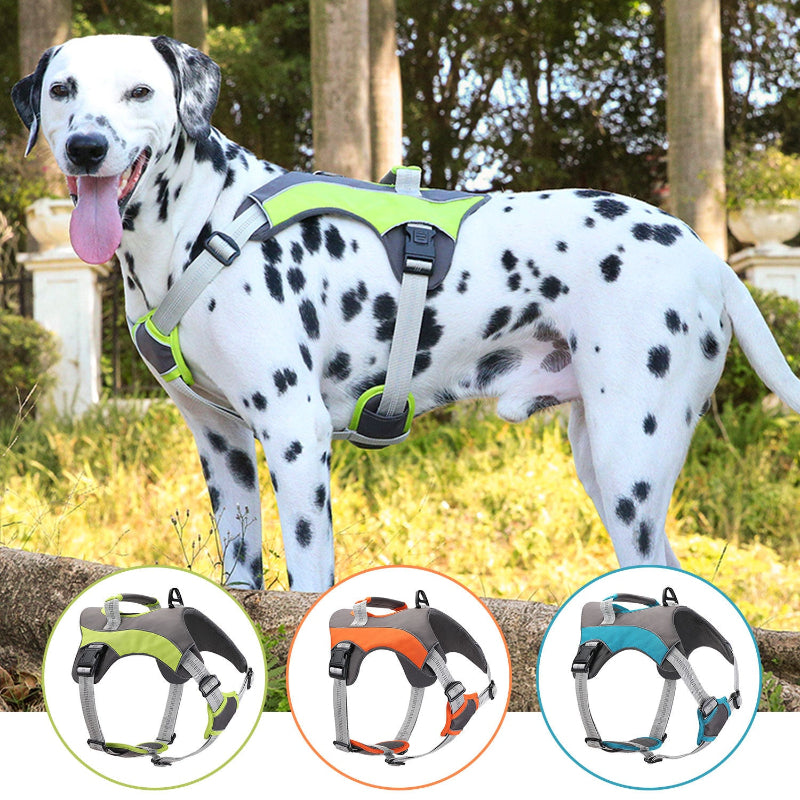 Adjustable No Pull Dog Harness with Handle