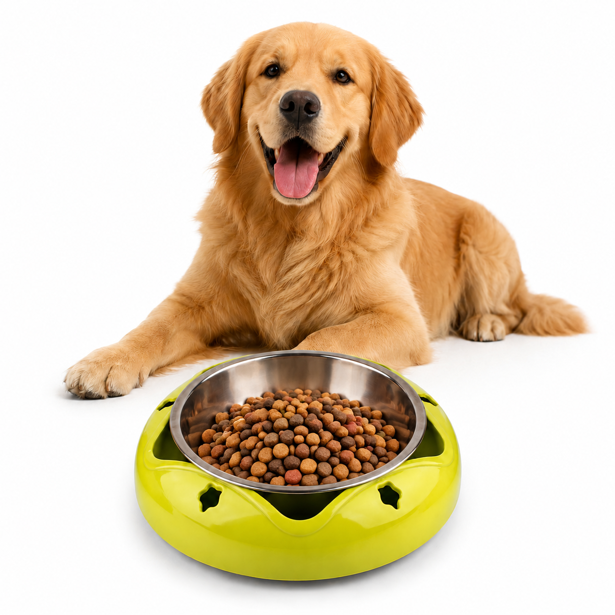 Dog lying next to a green and silver dog bowl filled with kibble on a white background