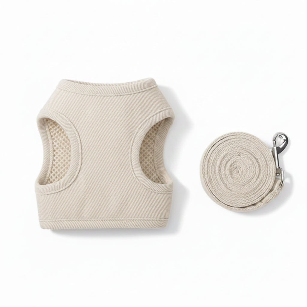 Adjustable Canvas Cat Harness and Leash Set