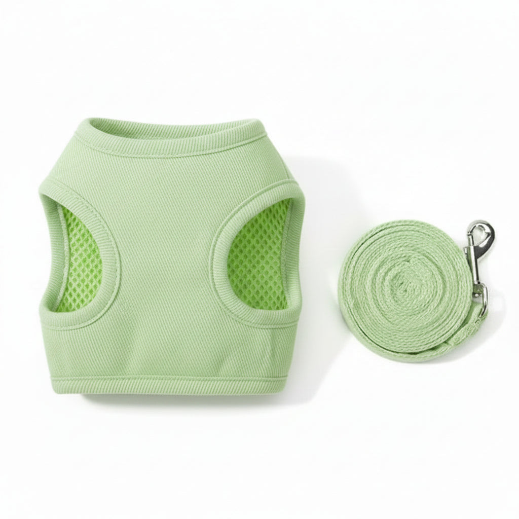 Adjustable Canvas Cat Harness and Leash Set