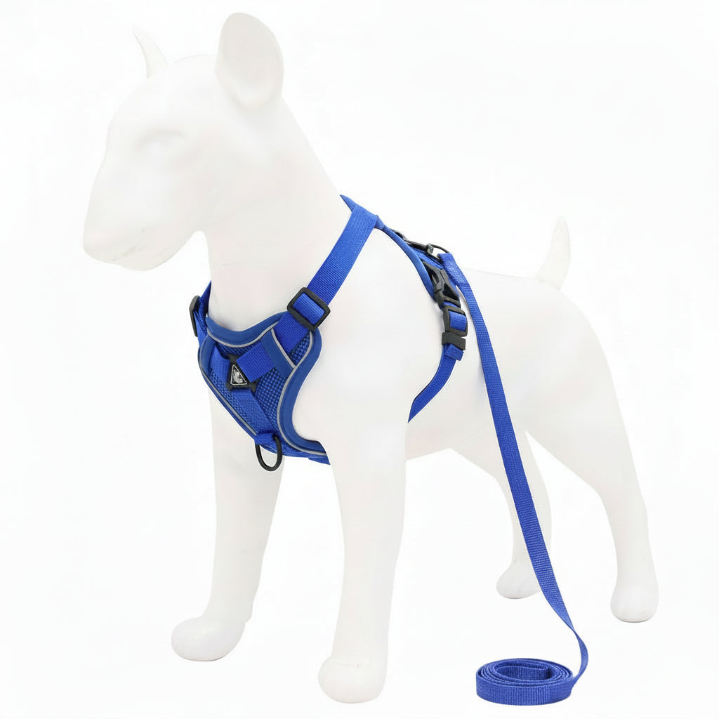 Blue dog harness and leash set on a white mannequin
