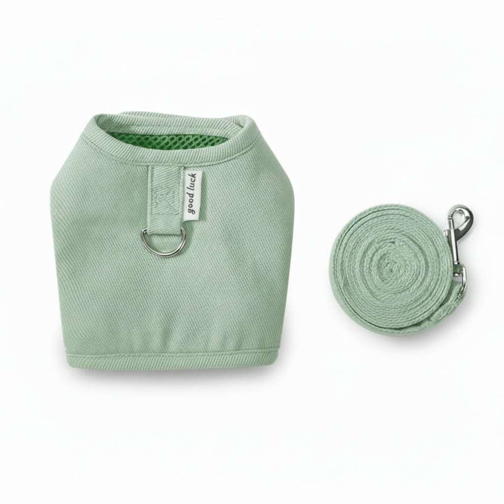 Adjustable Canvas Cat Harness and Leash Set