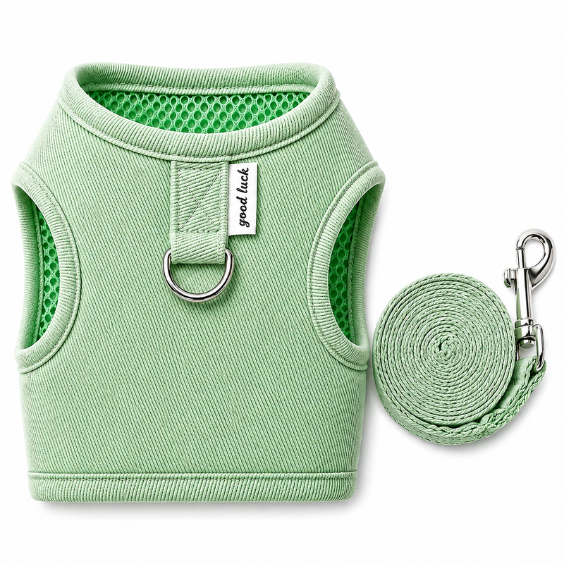 Green dog harness and leash set on a white background