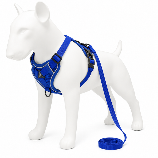 Blue dog harness and leash set on a white mannequin dog