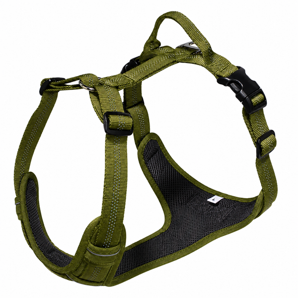 Green dog harness on a white background
