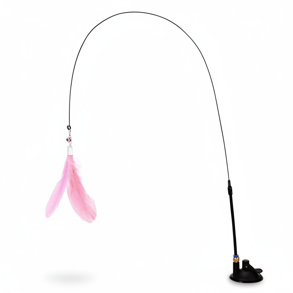 Cat toy with pink feather and strong suction cup on a white background