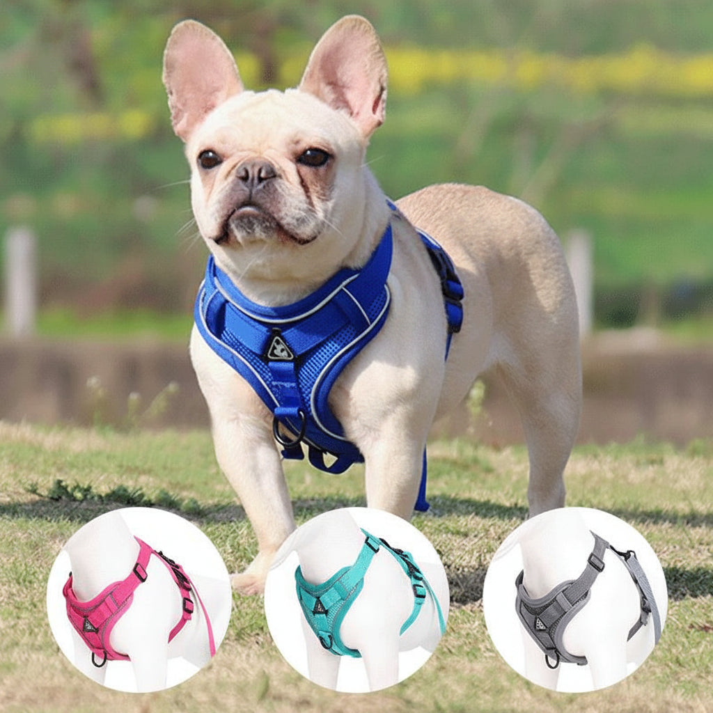 Breathable Mesh Dog Harness and Leash Set