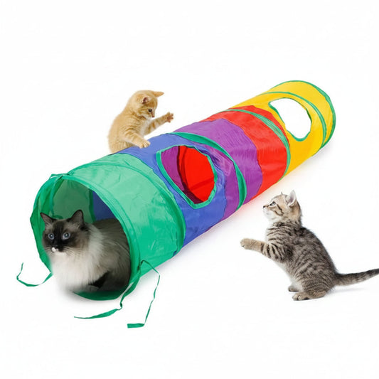 Colorful cat tunnel with three cats interacting on a white background