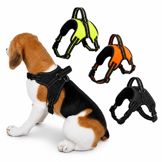Dog wearing a black harness with additional harnesses in different colors displayed above.
