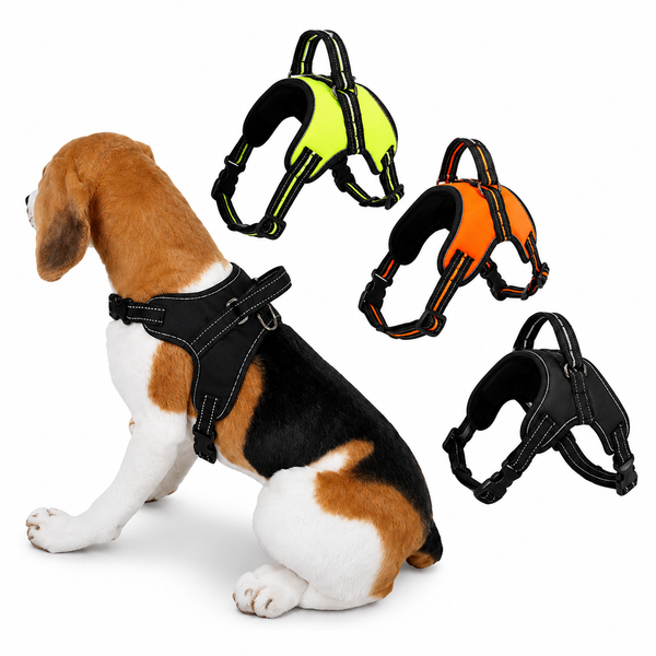 Dog wearing a black harness with additional harnesses in different colors displayed above.