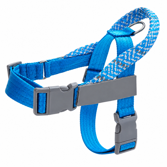 Blue dog harness with gray buckles on a white background